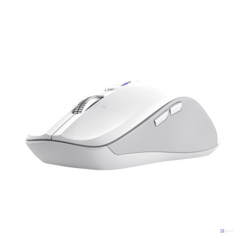 Mysz Trust Ferro wireless White