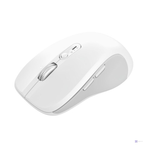 Mysz Trust Ferro wireless White