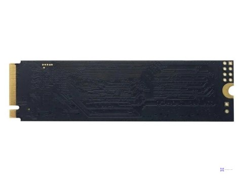 Dysk SSD Patriot P300 512GB