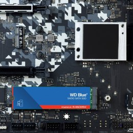 Dysk SSD WD Blue WDS100T3B0B (1 TB ; M.2; SATA III)