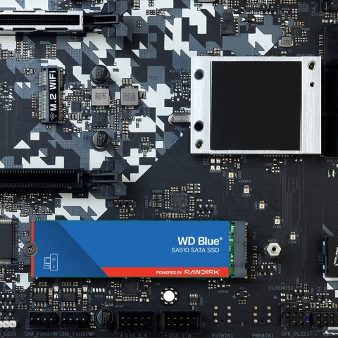 Dysk SSD WD Blue WDS100T3B0B (1 TB ; M.2; SATA III)