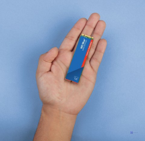 Dysk SSD WD Blue WDS100T3B0B (1 TB ; M.2; SATA III)