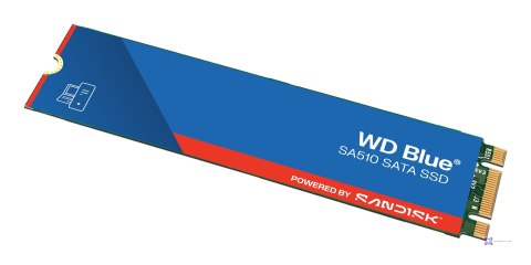 Dysk SSD WD Blue WDS100T3B0B (1 TB ; M.2; SATA III)