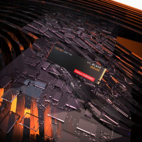 SSD WD Black SN8100 w/o HS 8TB WDS800T1X0M