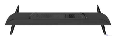 Telewizor Dahua DHI-LTV24-SD100 DLED 24" Full HD Dolby Digital Plus DVB-T2 Czarny