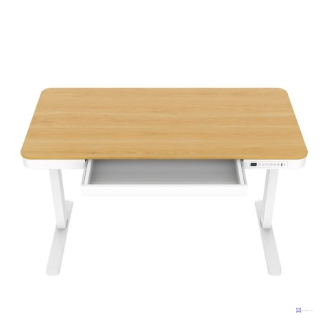 Activejet Biurko z elektryczną regulacją wysokości ET119W-C biały/dąb. Wymiar blatu 140 x 70 cm.