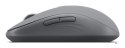 Lenovo Yoga Bluetooth Silent Mouse (Luna Grey) GY51S61919