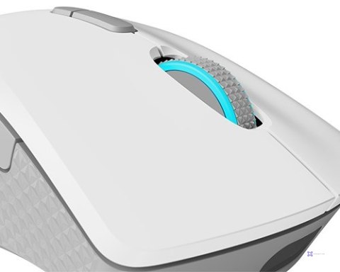 Mysz Lenovo Legion M600 Wireless Gaming Mouse Stingray
