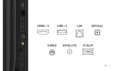 Telewizor TCL 75P69K LED 75" 4K Ultra HD Google TV Dolby Atmos DVB-T2 Czarny
