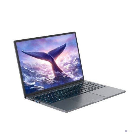 Blackview GamiBook-8 Ryzen 7 7735HS 16"WUXGA AG 16GB 512GB BT BLKB FPR W11Pro Grey (WYPRZEDAŻ)