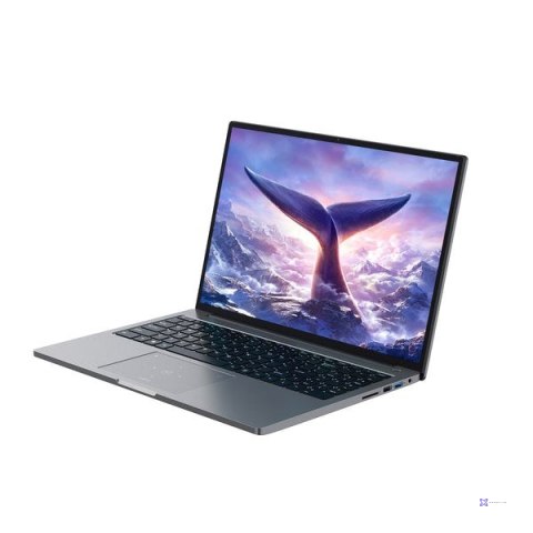 Blackview GamiBook-8 Ryzen 7 7735HS 16"WUXGA AG 16GB 512GB BT BLKB FPR W11Pro Grey (WYPRZEDAŻ)