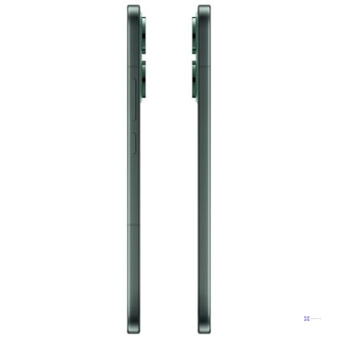 Oppo Reno 14 5G DS 12/512GB Green (WYPRZEDAŻ)