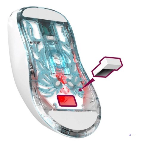 DEFENDER MYSZ BEZPRZEWODOWA FAME GM-516 RF+BT 10000DPI 6P BIAŁA 52516