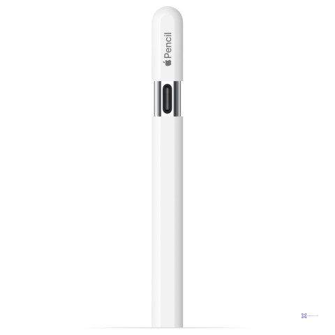 Apple Pencil (USB-C) (WYPRZEDAŻ)