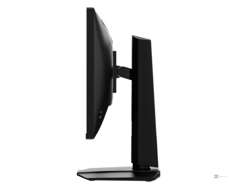 Monitor MAG 255PXF (OUTLET)