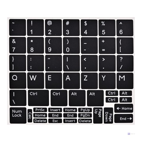 DELL PRECISION 5560 i7-11850H 32GB 512GB SSD 15" FHD (T1200) Win11pro + zasilacz UŻYWANY