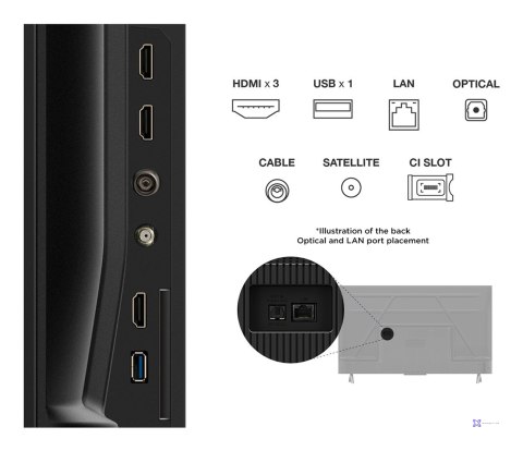 Telewizor TCL 43P69K LED 43'' 4K Ultra HD Google TV Dolby AC4 DVB-T2 Czarny