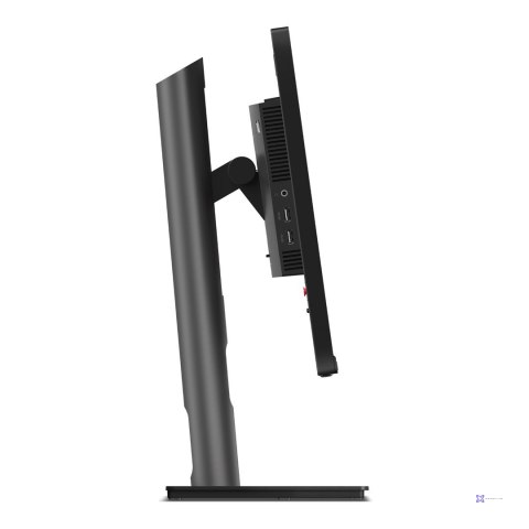 Lenovo ThinkVision P25i-30 24.5"FHD IPS WLED 4ms 250nits 100Hz AG HDMI DP USB Raven Black