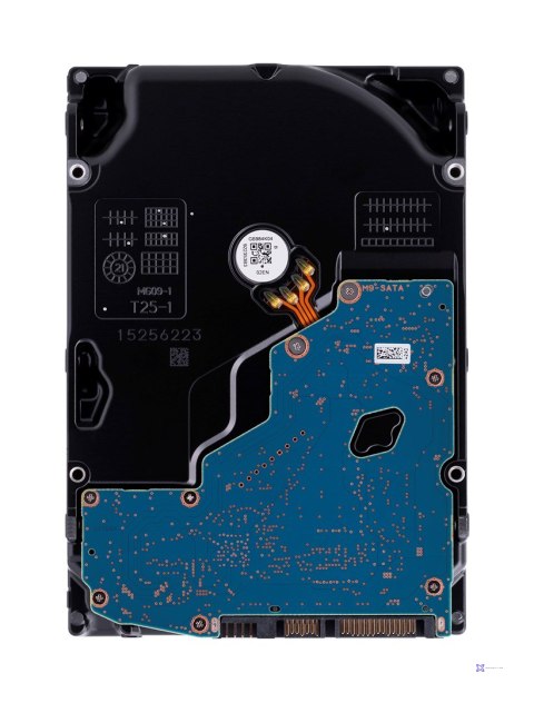 Synology HDD Plus Series (12TB; 3.5"; SATA)