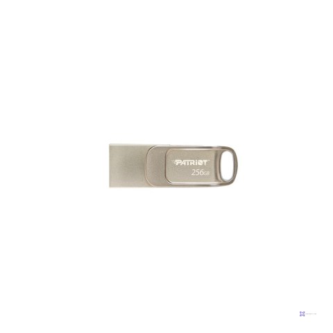 Patriot FLASHDRIVE Tab T560 256GB Dual USB 120MBs