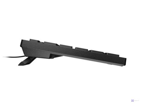 NATEC KLAWIATURA HERRING MULTIMEDIALNA US SLIM CZARNA