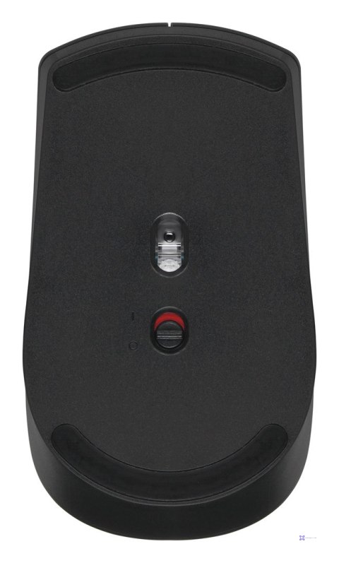 Lenovo Zestaw bezprzewodowej klawiatury i myszy Essential Gen2 czarny 4X31N50746