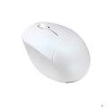 Mysz bezprzewodowa ASUS MD101 Fragrance Mouse Wireless /Bluetooth Iridescent White