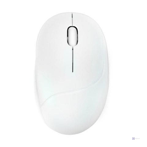 Mysz bezprzewodowa ASUS MD101 Fragrance Mouse Wireless /Bluetooth Iridescent White