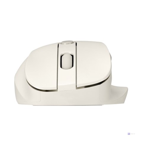 Mysz bezprzewodowa ASUS MD105 Wireless Mouse Milky White 2400DPI Dual-mode wireless 2.4 GHz and Bluetooth