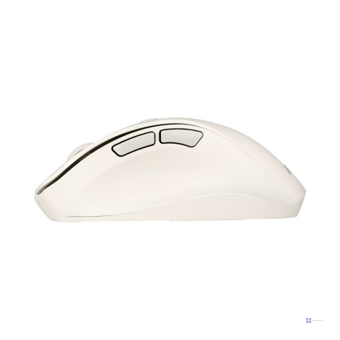 Mysz bezprzewodowa ASUS MD105 Wireless Mouse Milky White 2400DPI Dual-mode wireless 2.4 GHz and Bluetooth