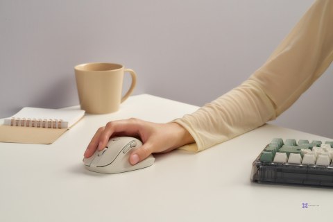 Mysz bezprzewodowa ASUS MD105 Wireless Mouse Milky White 2400DPI Dual-mode wireless 2.4 GHz and Bluetooth