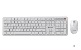 GEMBIRD BEZPRZEWODOWY ZESTAW KLAWIATURY + MYSZ SLIM PRO BUSINESS NA BIURKO,BIAŁY, UKŁAD US
