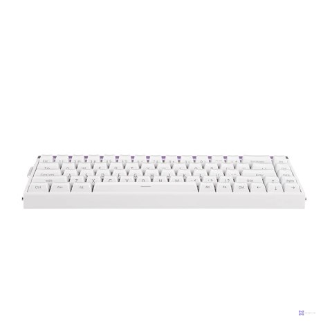 Klawiatura gasket HERO68HE WHITE LIGHT HOUSE Jade King switch RGB AULA