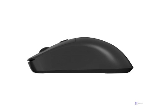NATEC MYSZ BEZPRZEWODOWA HAWK 2 WIRELESS 3200DPI L
