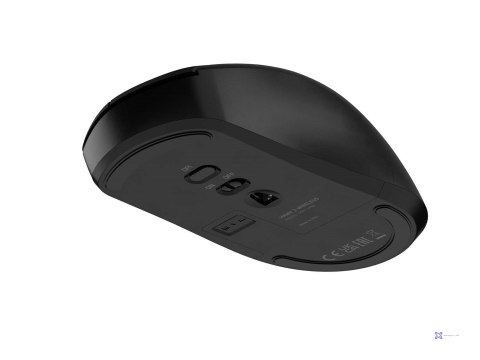 NATEC MYSZ BEZPRZEWODOWA HAWK 2 WIRELESS 3200DPI L