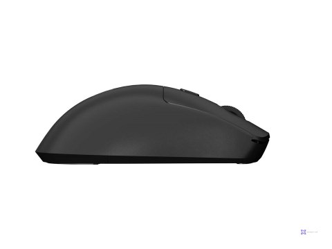 NATEC MYSZ BEZPRZEWODOWA HAWK 2 WIRELESS 3200DPI L