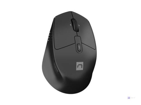 NATEC ZESTAW 2W1 KLAWIATURA MYSZ STINGRAY 2 US BEZPRZEWODOWY