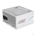 Zasilacz Gigabyte AORUS ELITE P1000W 80+ Platinum Modular PCIe 5.0 ICE (GP-AE1000PM PG5 ICE)