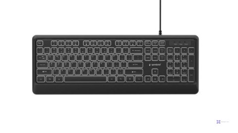 Klawiatura multimedialna z podświetleniem USB (A+C) Gembird KB-UML-04 1.8m czarna