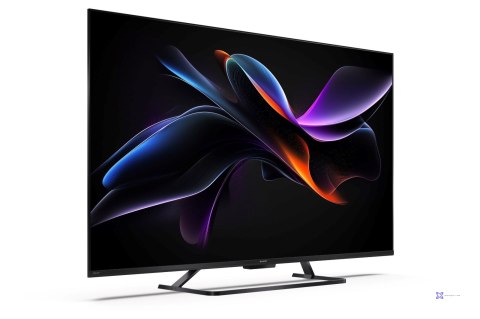 Telewizor SHARP 55HR7265E QLED 55" 4K Ultra HD Google TV Dolby Digital Plus DVB-T2 Czarny