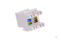 Q-LANTEC Moduł keystone RJ45 UTP kat.5e