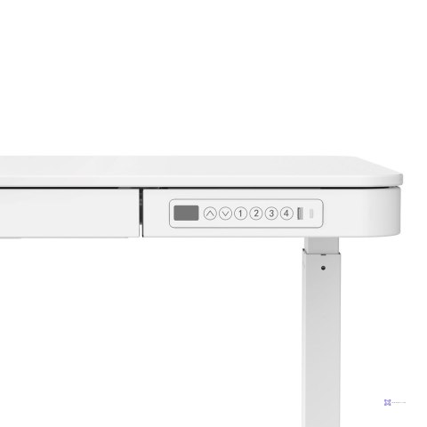 Activejet Biurko z elektryczną regulacją wysokości ET119W-C w kolorze białym. Wymiar blatu 140 x 70 cm. (OUTLET)