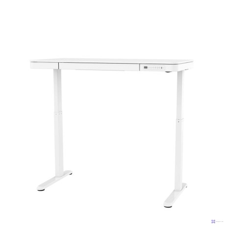 Activejet Biurko z elektryczną regulacją wysokości ET119W-C w kolorze białym. Wymiar blatu 140 x 70 cm. (OUTLET)