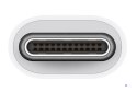 Apple USB-C - USB-A Adapter