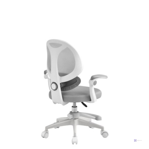 Fotel obrotowy Junior 4.5 Grey