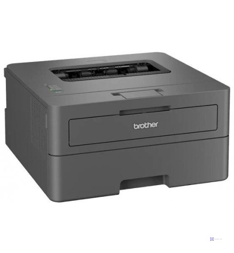 Drukarka Brother HL-L2402D