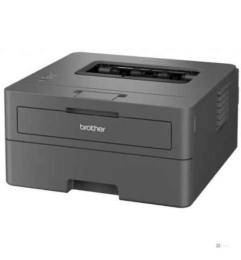 Drukarka Brother HL-L2402D