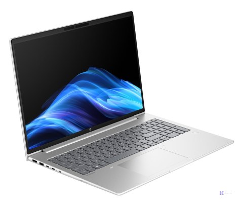 HP ProBook 4 G1a Ryzen 7 250 16.0"WUXGA IPS 300nits AG 24GB DDR5 5600 SSD512 Radeon 780M Cam1080p 56Wh W11Pro Pike silver 3Y OnS