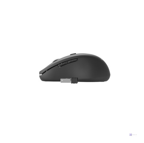 Mysz GEMBIRD MUSW-6B-01 (optyczna; 1600 DPI; kolor czarny)