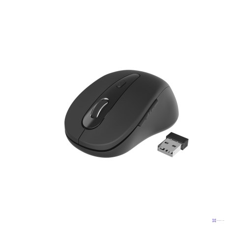 Mysz GEMBIRD MUSW-6B-01 (optyczna; 1600 DPI; kolor czarny)